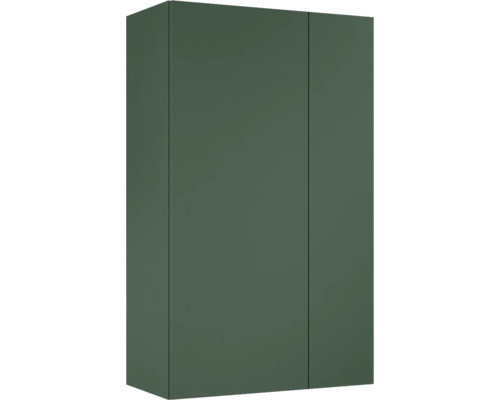 Väggskåp JUNGBORN forrest grön matt med 2 dörrar 3 hyllor 59,6x100x31,6 cm Stängt väggskåp med två dörrar
