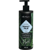 Flytande gödning LECHUZA Perfect Palm 475ml