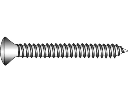 Plåtskruv MARINETECH 4,8x25mm TX25 A4 Plåtskruv MARINETECH 4,8x25mm TX25 A4