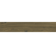 Trästruktur med kvistar som bakgrund