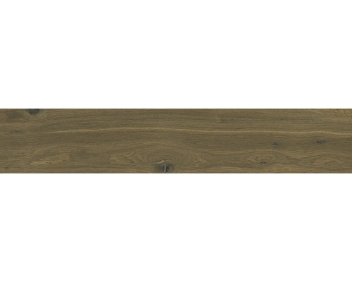 Trästruktur med kvistar som bakgrund