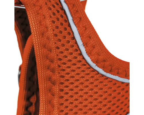 Detaljvy av en djursele i nätmaterial