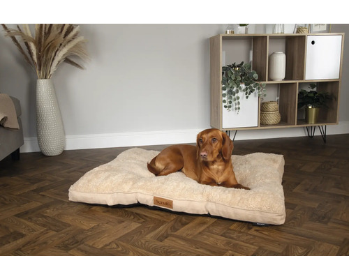 Hund ligger på en beige hundsäng inomhus.