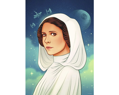 Poster KOMAR Star Wars princess 50x70cm