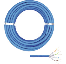 Blå nätverkskabel upprullad och i tvärsnitt