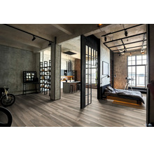 Loftlägenhet med öppen vardagsrumsdel, kök och sovrum i modern industriell stil