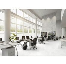 Ljust kontor med skrivbord, kontorsstolar och hyllor