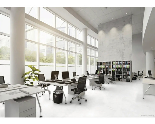 Ljust kontor med skrivbord, kontorsstolar och hyllor