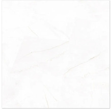 Vitt golvplatta med marmorlook