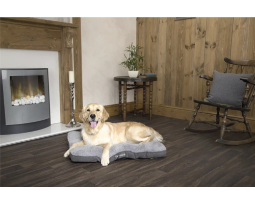 Golden retriever ligger på en grå hundbädd i ett vardagsrum med öppen spis