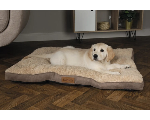 Hund ligger på en beige hundbädd av märket Scruffs