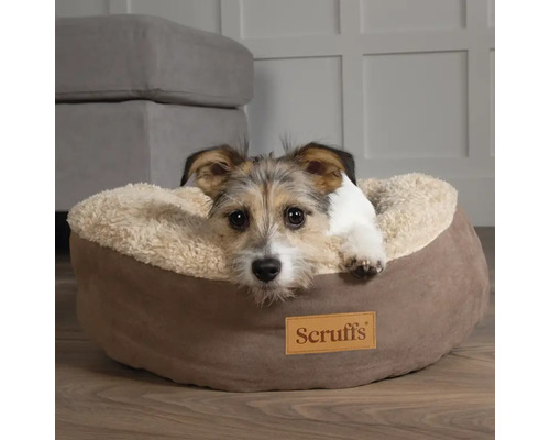 Hund ligger i en rund hundsäng av märket Scruffs.