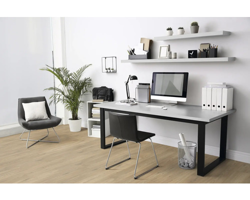 Arbetsrum med skrivbord, kontorsstol, hyllor och krukväxt