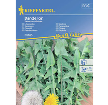 Kiepenkerl Maskros Fröpaket