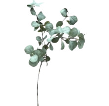 Eucalyptus konstgjord växt med runda blad