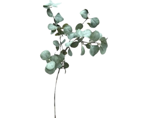 Konstgjord Eucalyptuskvist 88cm