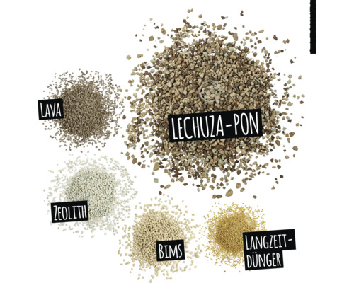 Bild av olika växtsubstrat: lava, Lechuza-Pon, zeolit, pimpsten och långtidsverkande gödsel.