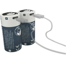 Två batterier med USB-C-laddningsport