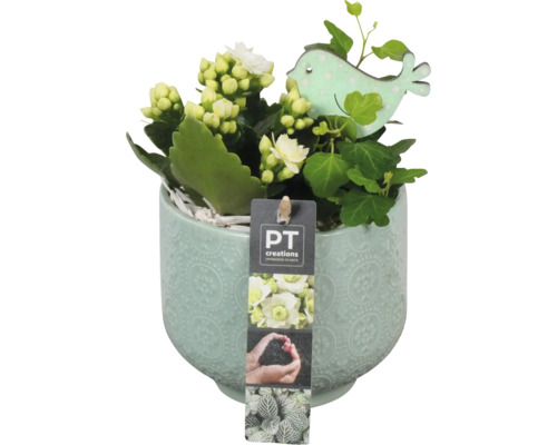 Blomkruksarrangemang FLORASELF Ø12cm keramikkruka Mia med 2 plantor