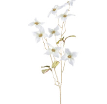 Dekorativ kvist med vita blommor för inomhusbruk