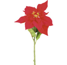 Enkel röd julstjärna med stam och blad