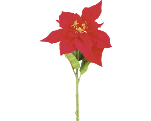 Konstväxt kvist poinsettia 66cm röd