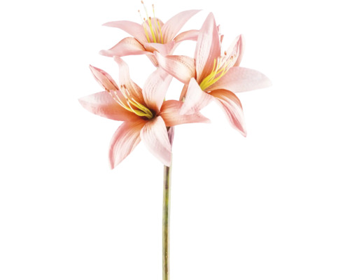 Konstväxt miniamaryllis 76cm aprikos