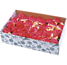 Dekorativa flugsvampar i en låda för säsongsdekorationer