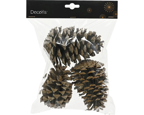 Decoris kottar i förpackning för dekoration