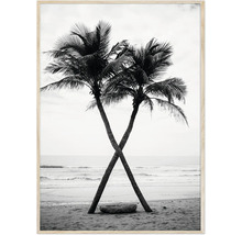 Inramad tavla Palms BW 50x70cm