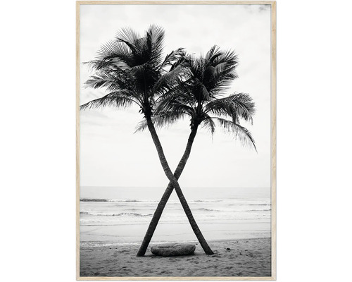 Inramad tavla Palms BW 50x70cm