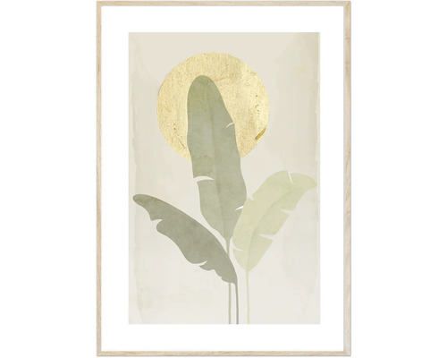 Inramad tavla Boho Plant 50x70cm