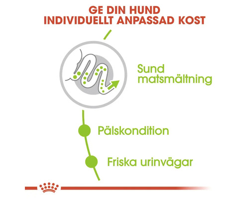 Illustration för att stödja en hälsosam matsmältning, pälskondition och urinvägar hos hundar.