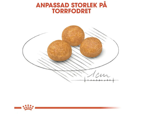 Tre torrfoderkulor för hund på en tallrik med storleksangivelse.