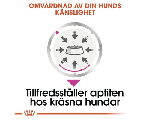 Symbolisk bild: Matskål med pilar som indikerar acceptans av hundfodret