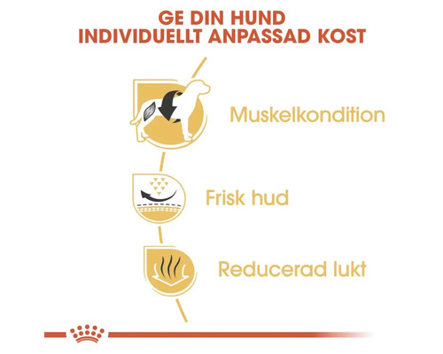 Symbol för muskeluppbyggnad, frisk hud och minskad lukt för hundfoder