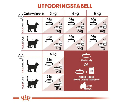 Fodertabell för kattens vikt med rekommendationer för torrfoder och våtfoder