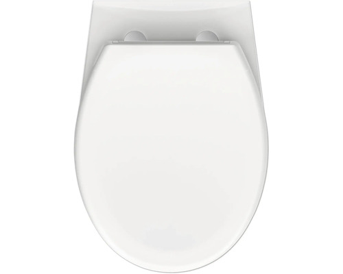 Tvärsnitt av en toalettstol uppifrån