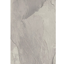 Närbild av en skifferplatta med ojämn yta