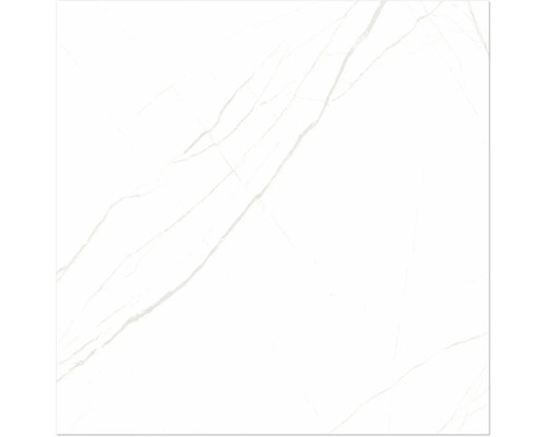 Vit kakelplatta med marmorutseende