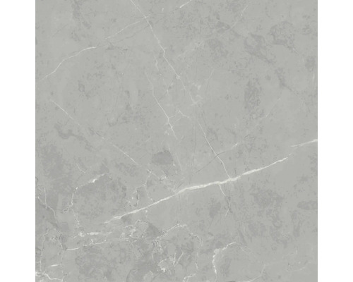 Grå platta med marmorlook för golv och vägg