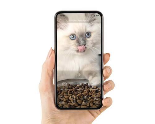En smarttelefon i en hand visar en katt som äter från en foderautomat för husdjur