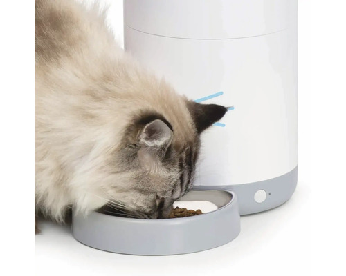 Katt äter från en foderautomat