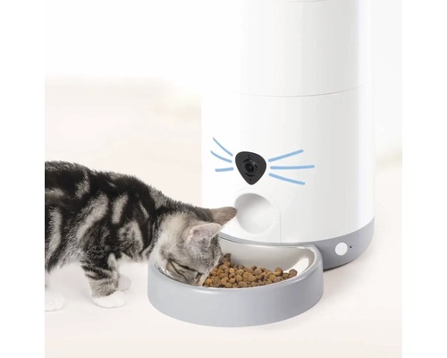 Katt äter från foderautomat