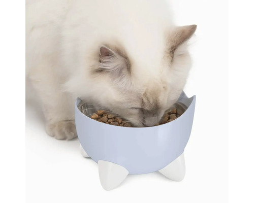Katt äter från en upphöjd matskål.