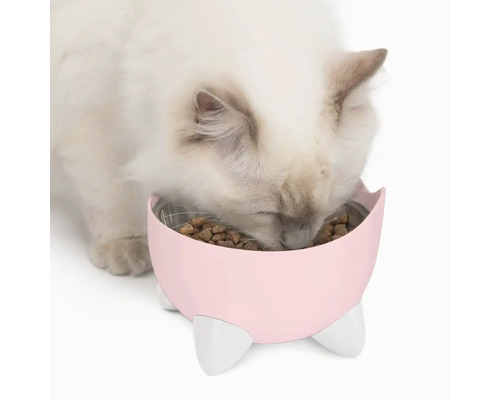 Katt äter från en upphöjd matskål