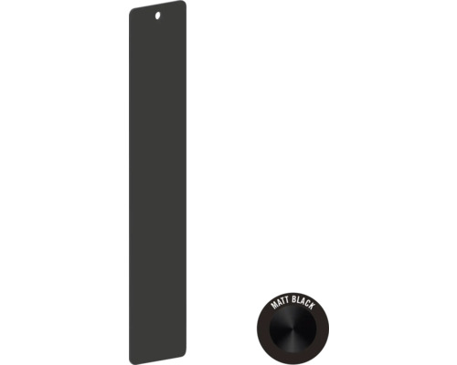 Matt svart WC-manöverplatta