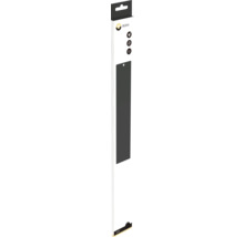 REXXA Logo. Sticksågblad i förpackning