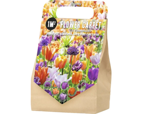 Blomsterlöksblandning för en kvadratmeter yta, 50 stycken