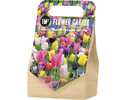 Blomsterlökar för en blomstermatta på 1 kvadratmeter, 50 stycken
